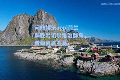 问鼎娱乐app|荷兰队胜出诺尔维治群岛，晋级尚属不易