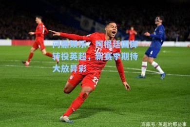 问鼎娱乐：阿根廷国脚转投英超，新赛季期待大放异彩
