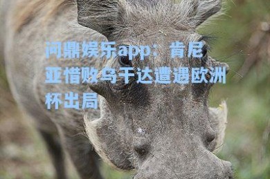 问鼎娱乐app：肯尼亚惜败乌干达遭遇欧洲杯出局