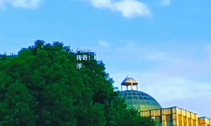 问鼎娱乐app：衰落传奇！曙光初现谁主沉浮
