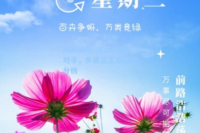 问鼎娱乐-汉诺威挫败对手，步履坚定迈进积分榜