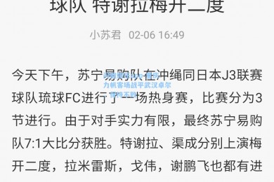 问鼎娱乐app-重庆力帆客场战平武汉卓尔，保持不败
