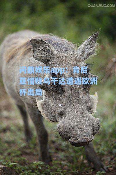 问鼎娱乐app：肯尼亚惜败乌干达遭遇欧洲杯出局