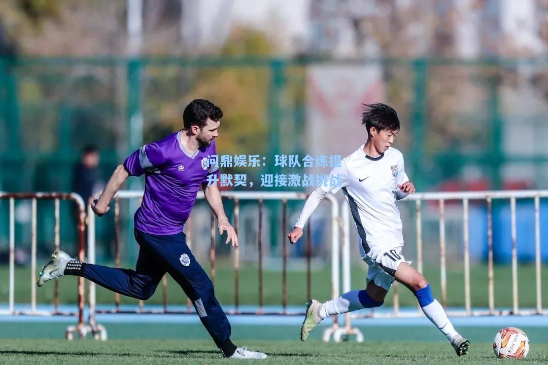 问鼎娱乐：球队合练提升默契，迎接激战挑战